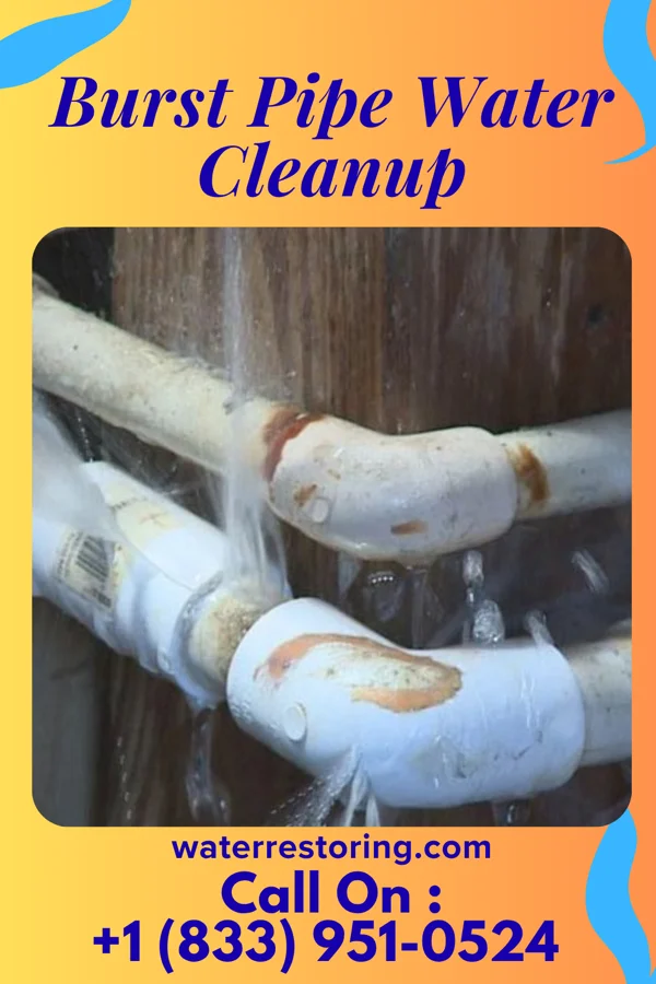 Burst Pipe Water Cleanup in Sanborn, IA