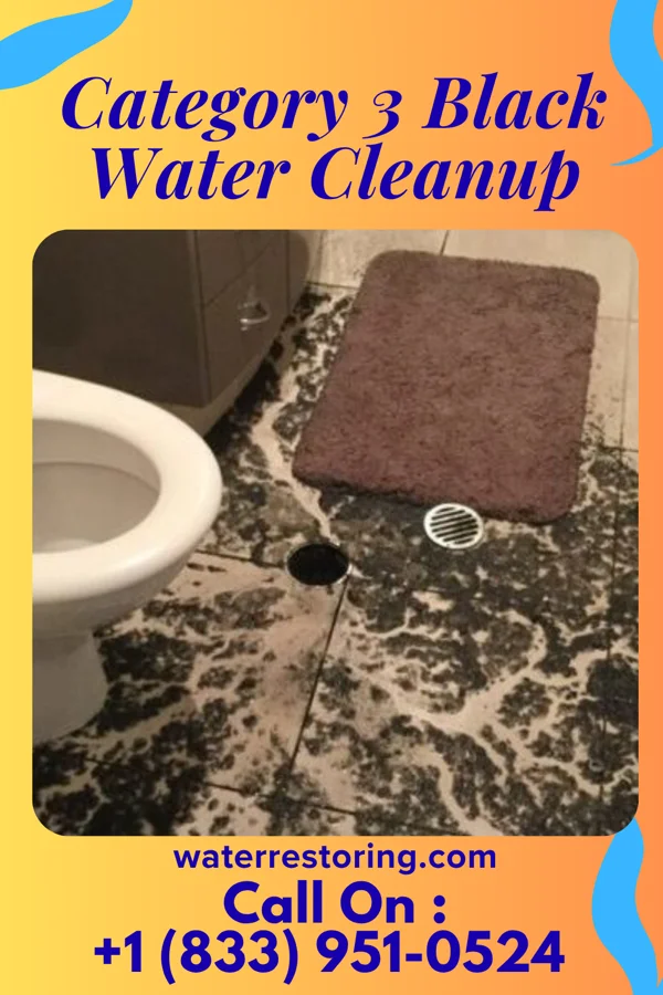 Category 3 Black Water Cleanup in Sanborn, IA