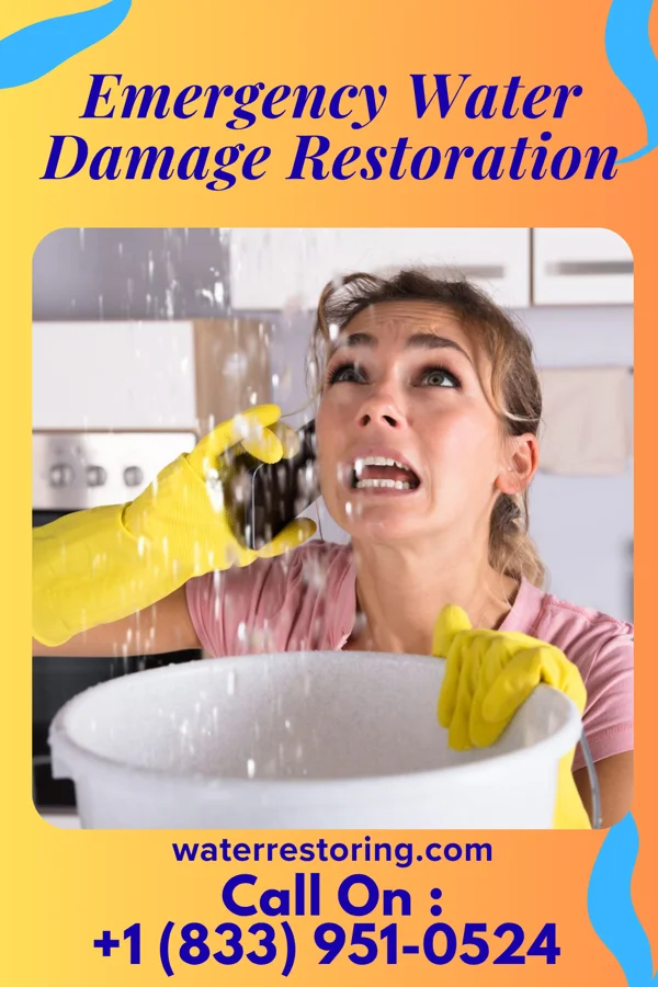 Emergency Water Damage Restoration in Sanborn, IA