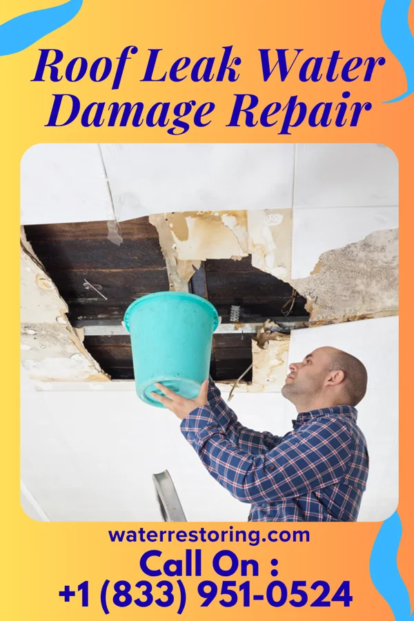 Roof Leak Water Damage Repair in Sanborn, IA